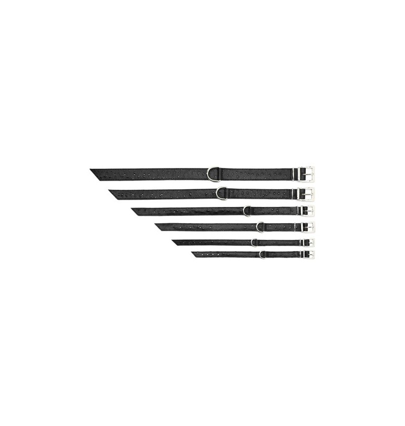 Rome Cavalieri Collar