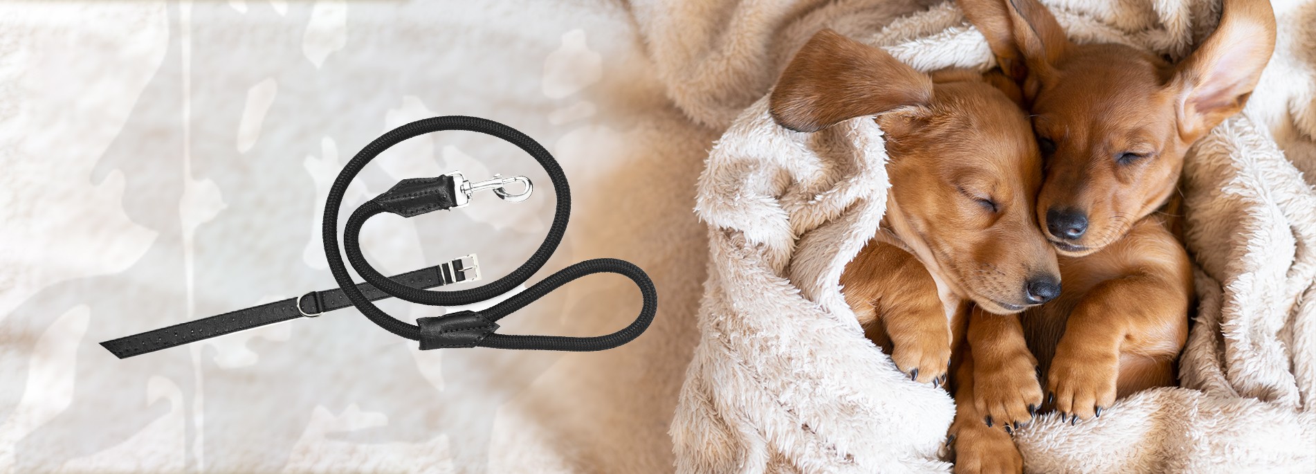 Rome Cavalieri Boutique